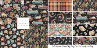 *New* Late Summer Harvest by Lily Ford for Blank Quilting